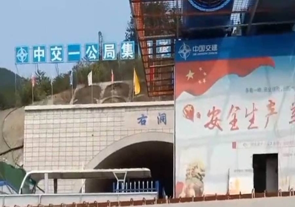 118手机论坛资料库